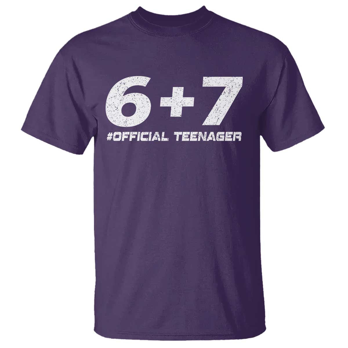 Funny 13th Birthday Official Teenager T Shirt 13 Years Old Boys Kids