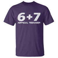 Funny 13th Birthday Official Teenager T Shirt 13 Years Old Boys Kids