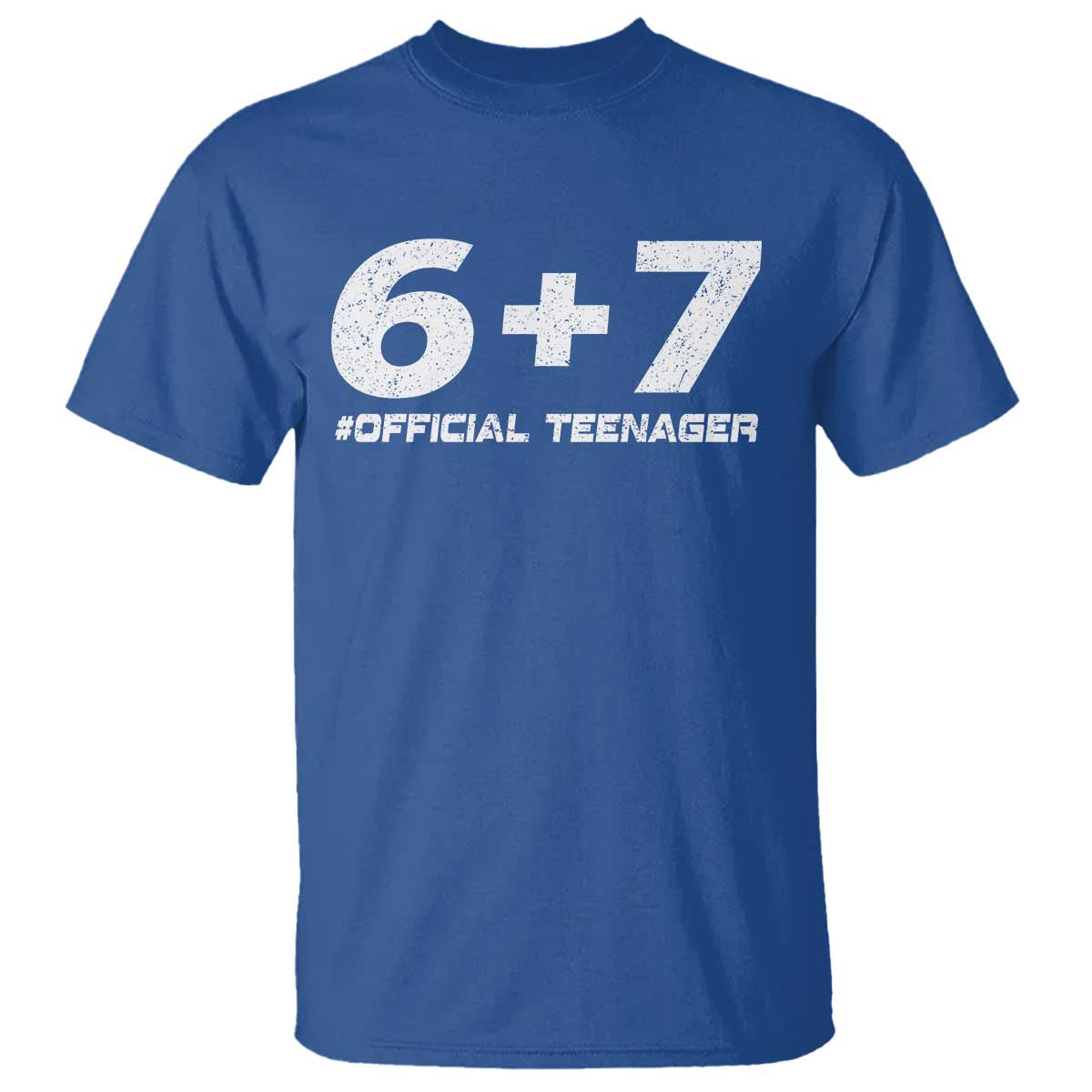 Funny 13th Birthday Official Teenager T Shirt 13 Years Old Boys Kids