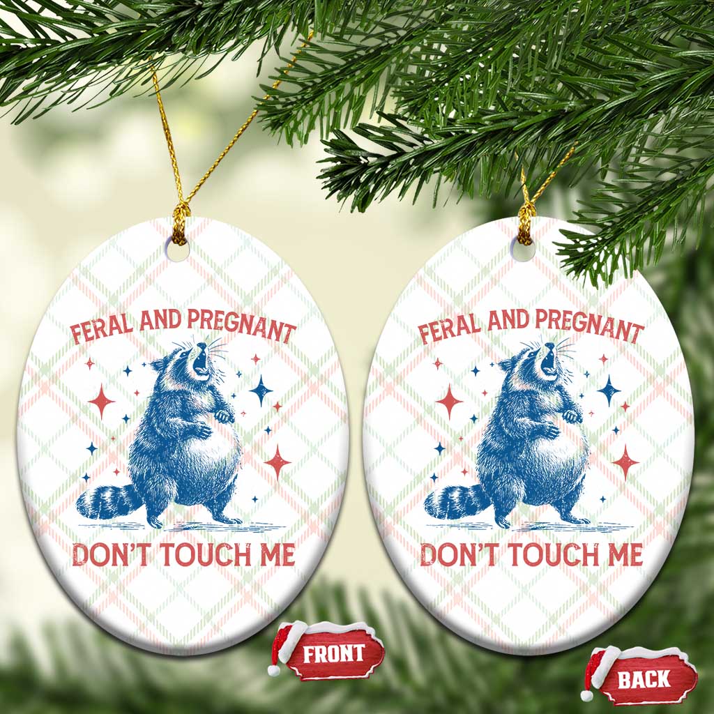 Pregnant Racoon Ceramic Ornament Feral And Pregnant Dont Touch Me Pregnancy Humor
