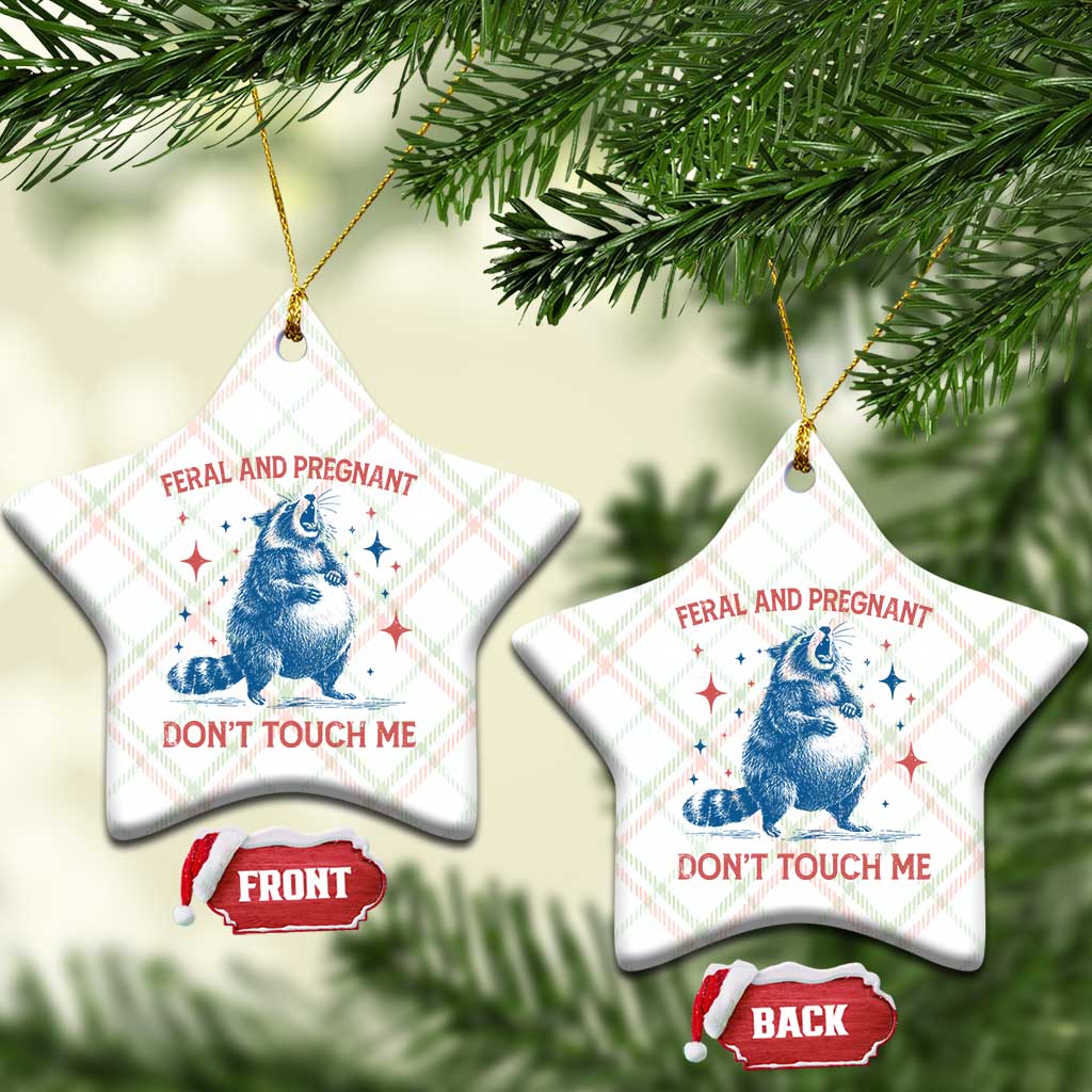 Pregnant Racoon Ceramic Ornament Feral And Pregnant Dont Touch Me Pregnancy Humor