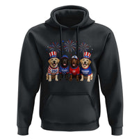 Labrador Retriever Americas 250th Anniversary Hoodie 4th July US 250 Years Of Freedom Dog Lovers 1776 2026