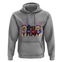 Labrador Retriever Americas 250th Anniversary Hoodie 4th July US 250 Years Of Freedom Dog Lovers 1776 2026