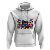 Labrador Retriever Americas 250th Anniversary Hoodie 4th July US 250 Years Of Freedom Dog Lovers 1776 2026