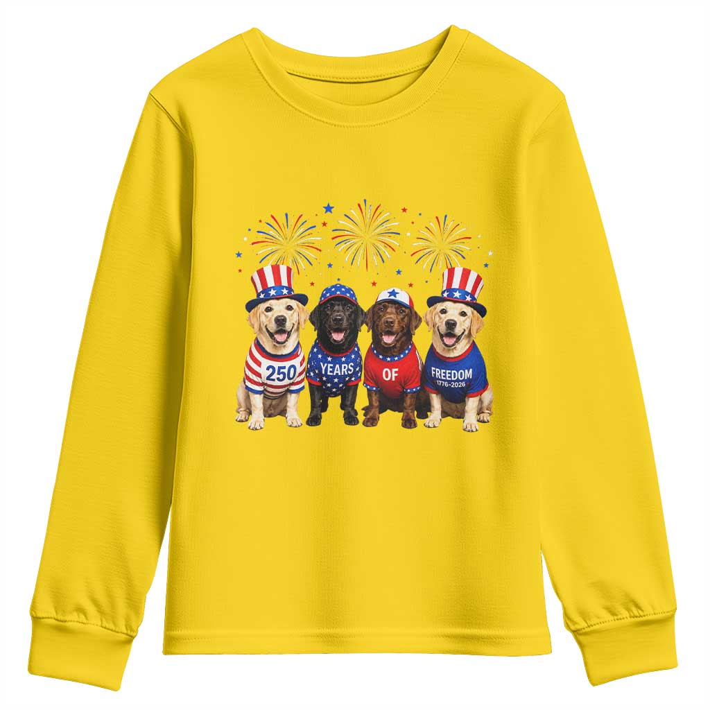 Labrador Retriever Americas 250th Anniversary Youth Sweatshirt 4th July US 250 Years Of Freedom Dog Lovers 1776 2026