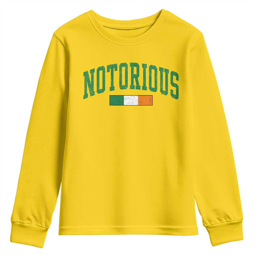 Vintage Irish Flag Notorious Youth Sweatshirt Boxing Fans