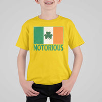 Irish Pride Boxing Fighting Notorious T Shirt For Kid Vintage Ireland Flag Irish Retro Throwback