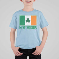 Irish Pride Boxing Fighting Notorious T Shirt For Kid Vintage Ireland Flag Irish Retro Throwback