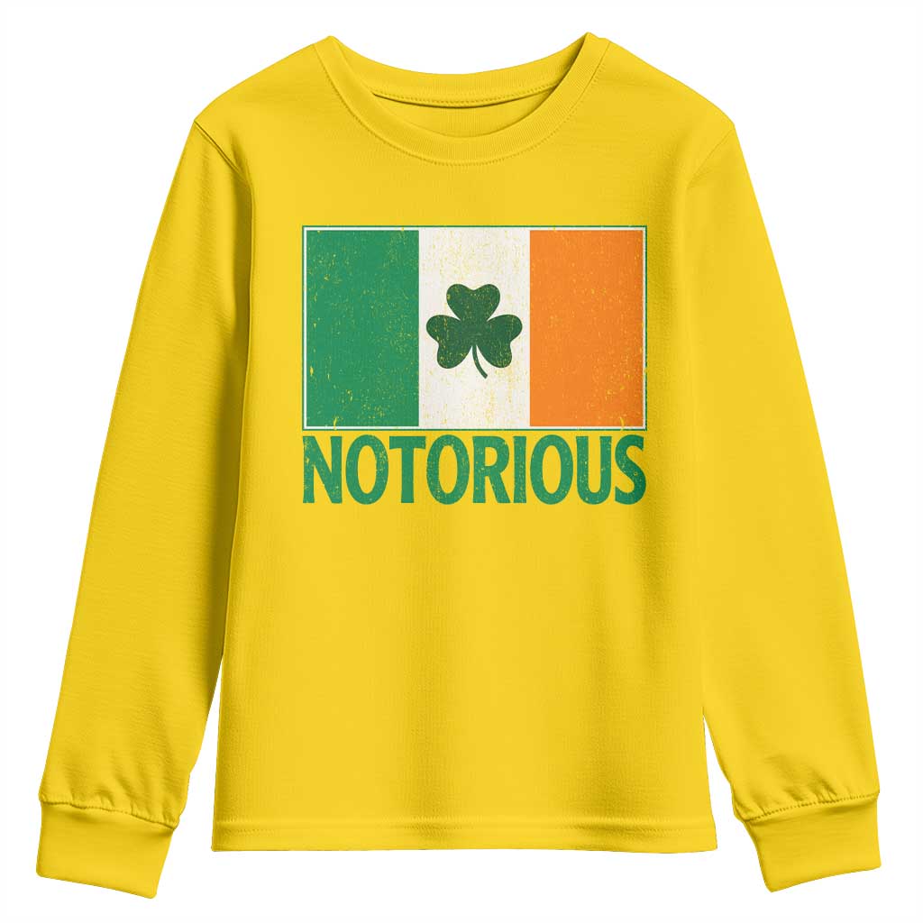 Irish Pride Boxing Fighting Notorious Youth Sweatshirt Vintage Ireland Flag Irish Retro Throwback
