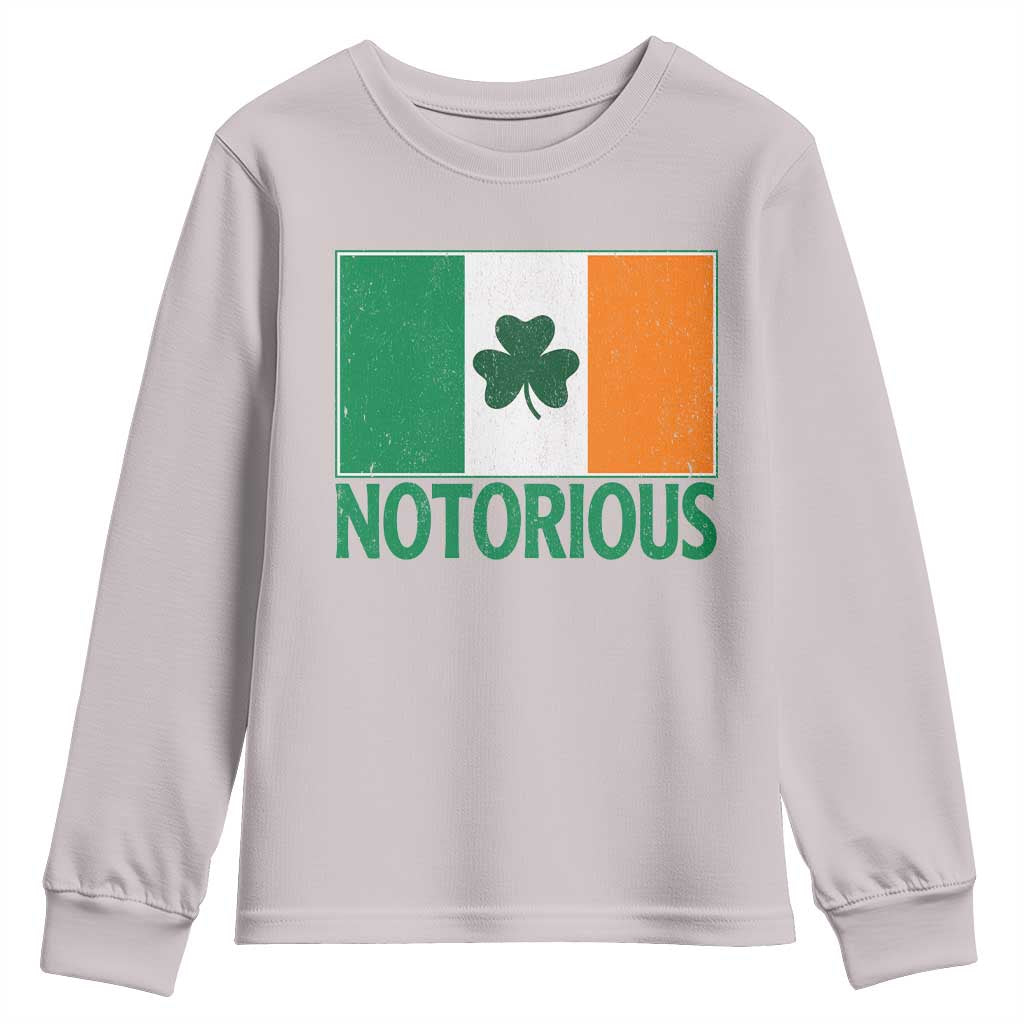 Irish Pride Boxing Fighting Notorious Youth Sweatshirt Vintage Ireland Flag Irish Retro Throwback
