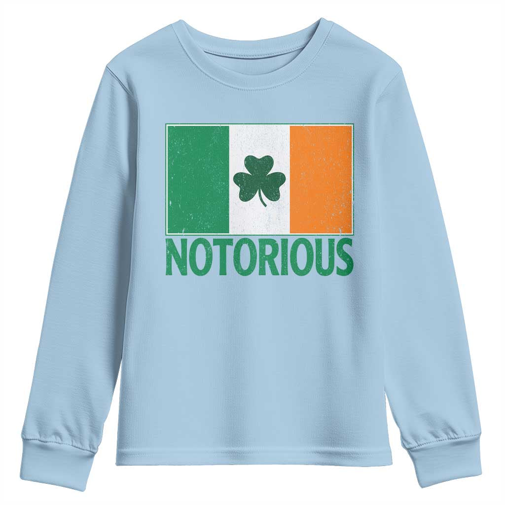 Irish Pride Boxing Fighting Notorious Youth Sweatshirt Vintage Ireland Flag Irish Retro Throwback