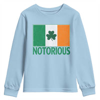 Irish Pride Boxing Fighting Notorious Youth Sweatshirt Vintage Ireland Flag Irish Retro Throwback