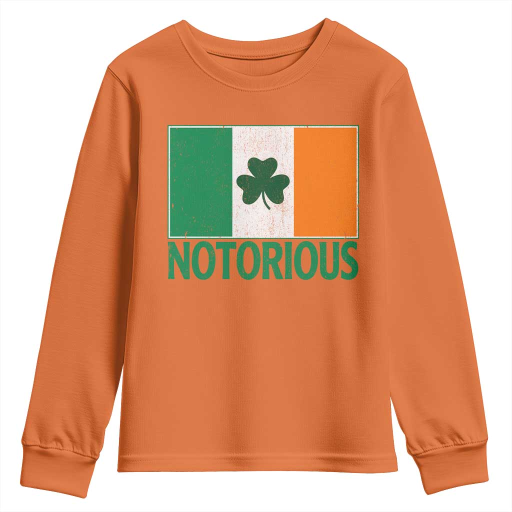 Irish Pride Boxing Fighting Notorious Youth Sweatshirt Vintage Ireland Flag Irish Retro Throwback