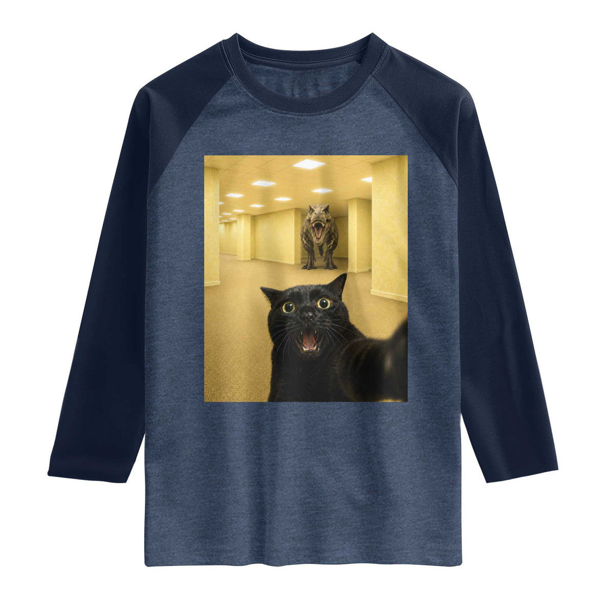 Black Cat Selfie with Dinosaur in The Backrooms Liminal Space Graphic Raglan Shirt Liminal Space Urban Legend Meme