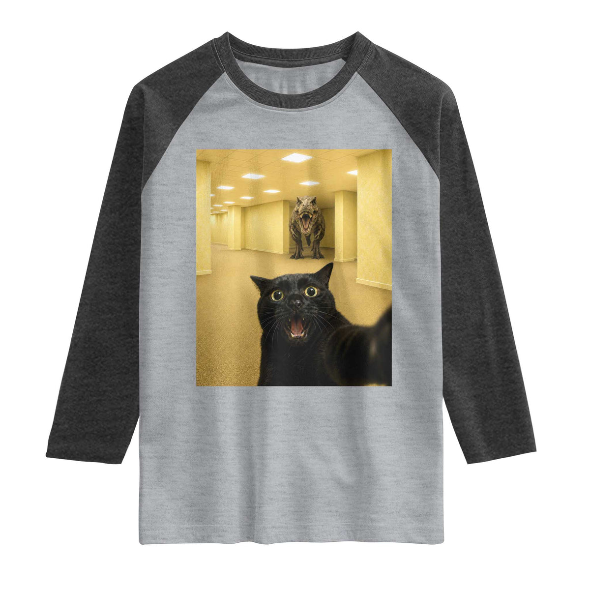 Black Cat Selfie with Dinosaur in The Backrooms Liminal Space Graphic Raglan Shirt Liminal Space Urban Legend Meme