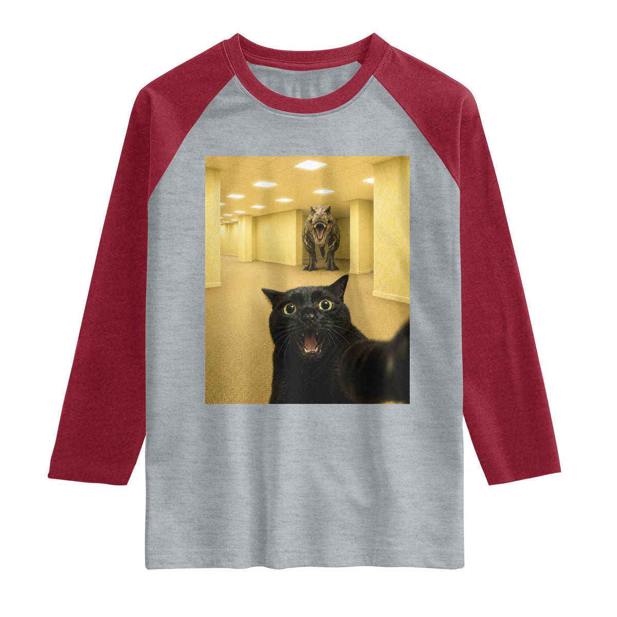 Black Cat Selfie with Dinosaur in The Backrooms Liminal Space Graphic Raglan Shirt Liminal Space Urban Legend Meme