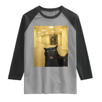 Black Cat Selfie with Dinosaur in The Backrooms Liminal Space Graphic Raglan Shirt Liminal Space Urban Legend Meme