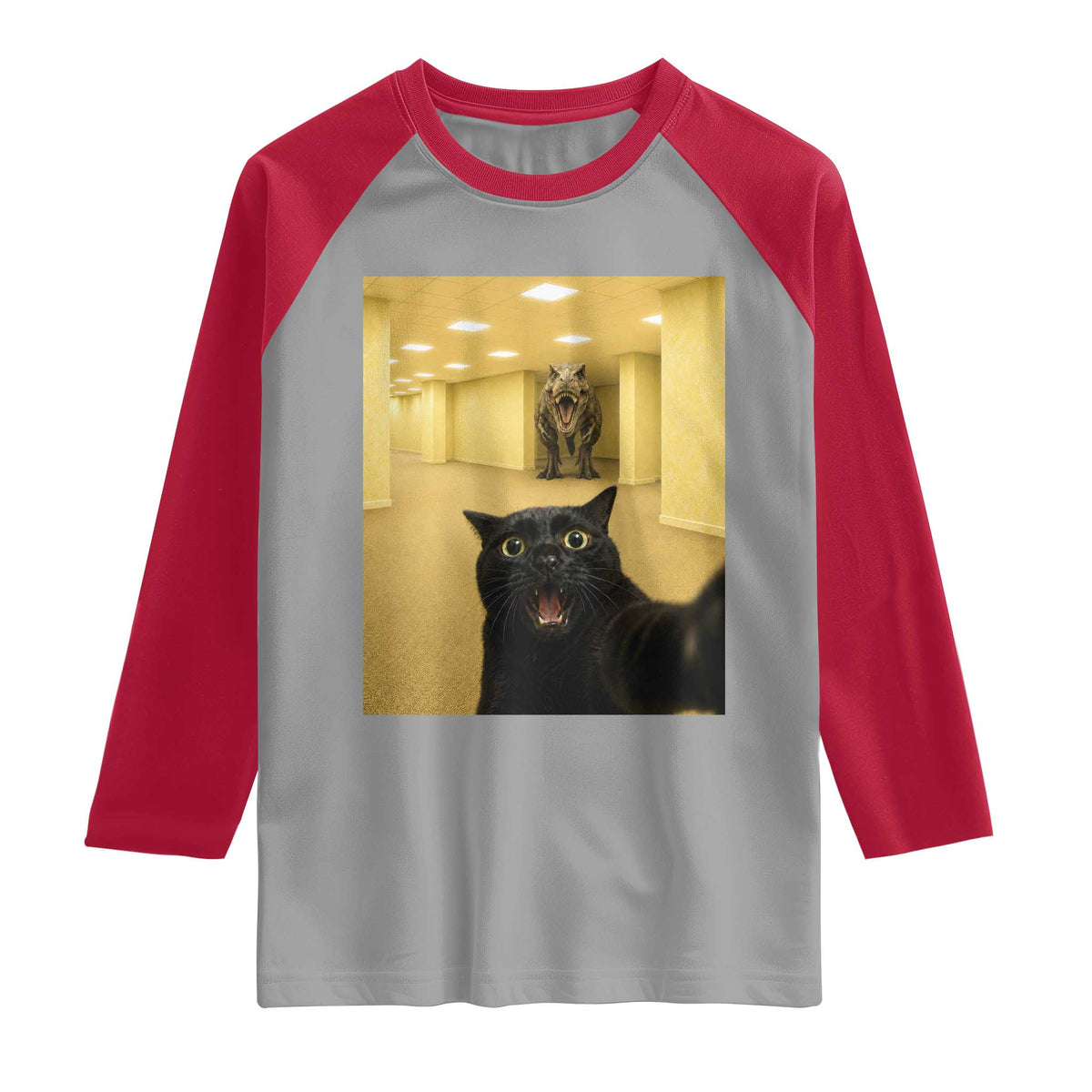 Black Cat Selfie with Dinosaur in The Backrooms Liminal Space Graphic Raglan Shirt Liminal Space Urban Legend Meme