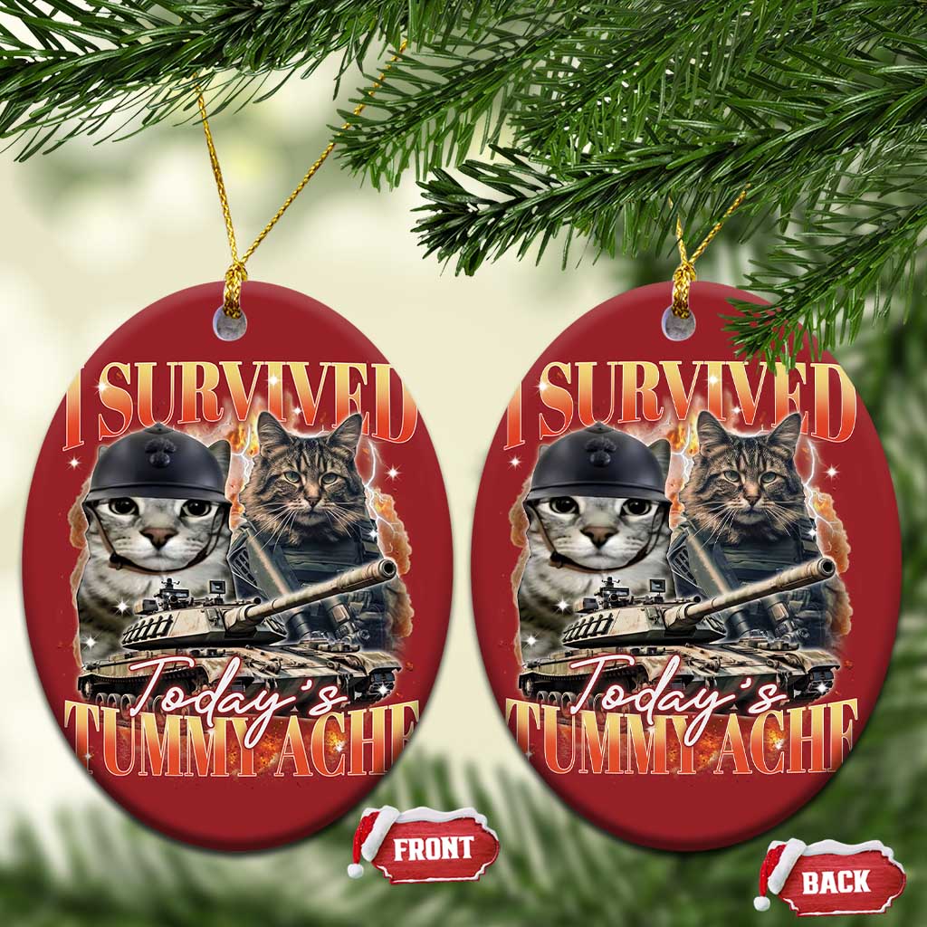 Tummy Ache Survivor Cat Meme Christmas Ornament Funny Saying Cats Bootleg - Wonder Print Shop