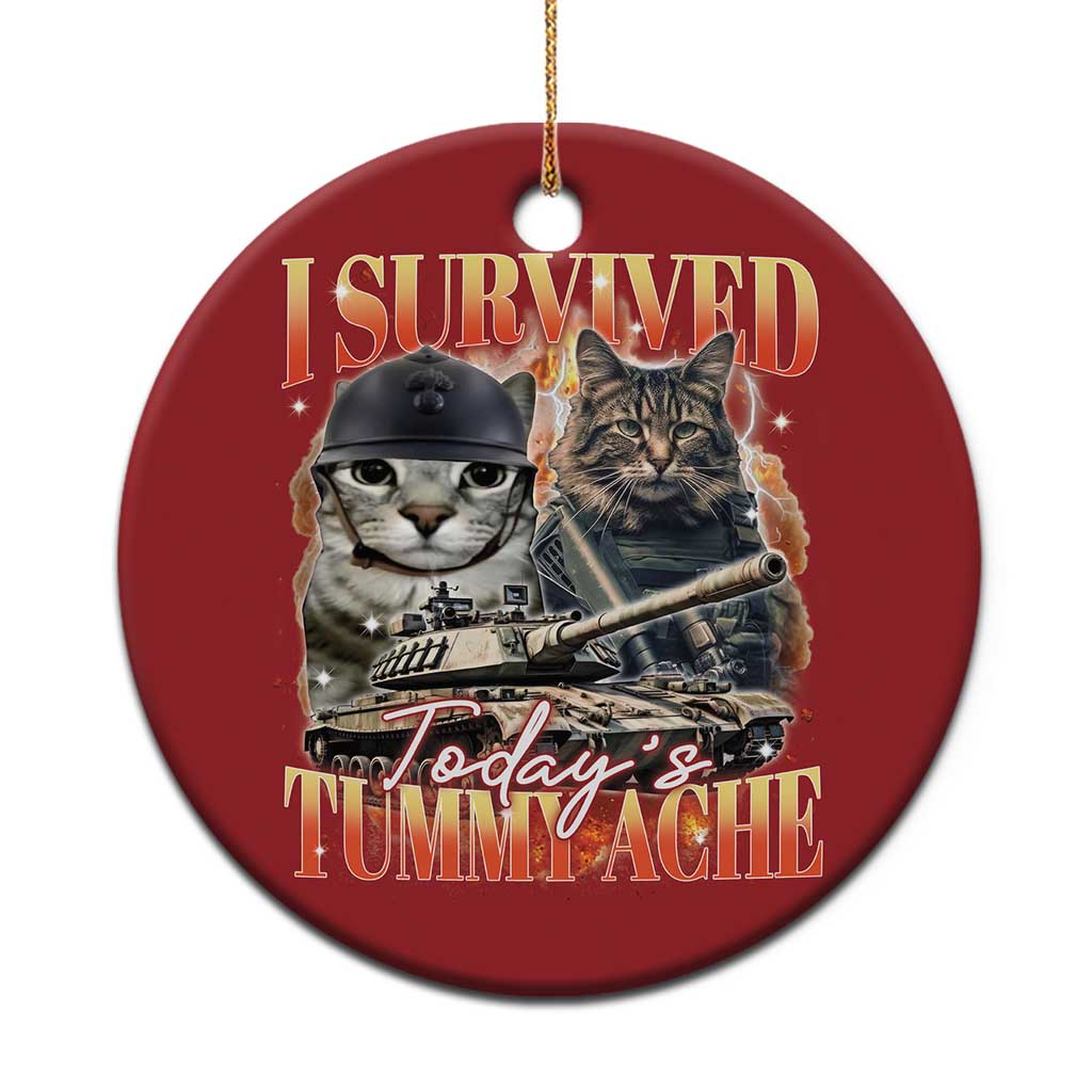 Tummy Ache Survivor Cat Meme Christmas Ornament Funny Saying Cats Bootleg - Wonder Print Shop