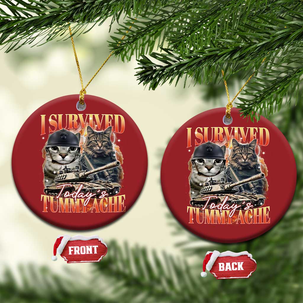 Tummy Ache Survivor Cat Meme Christmas Ornament Funny Saying Cats Bootleg - Wonder Print Shop