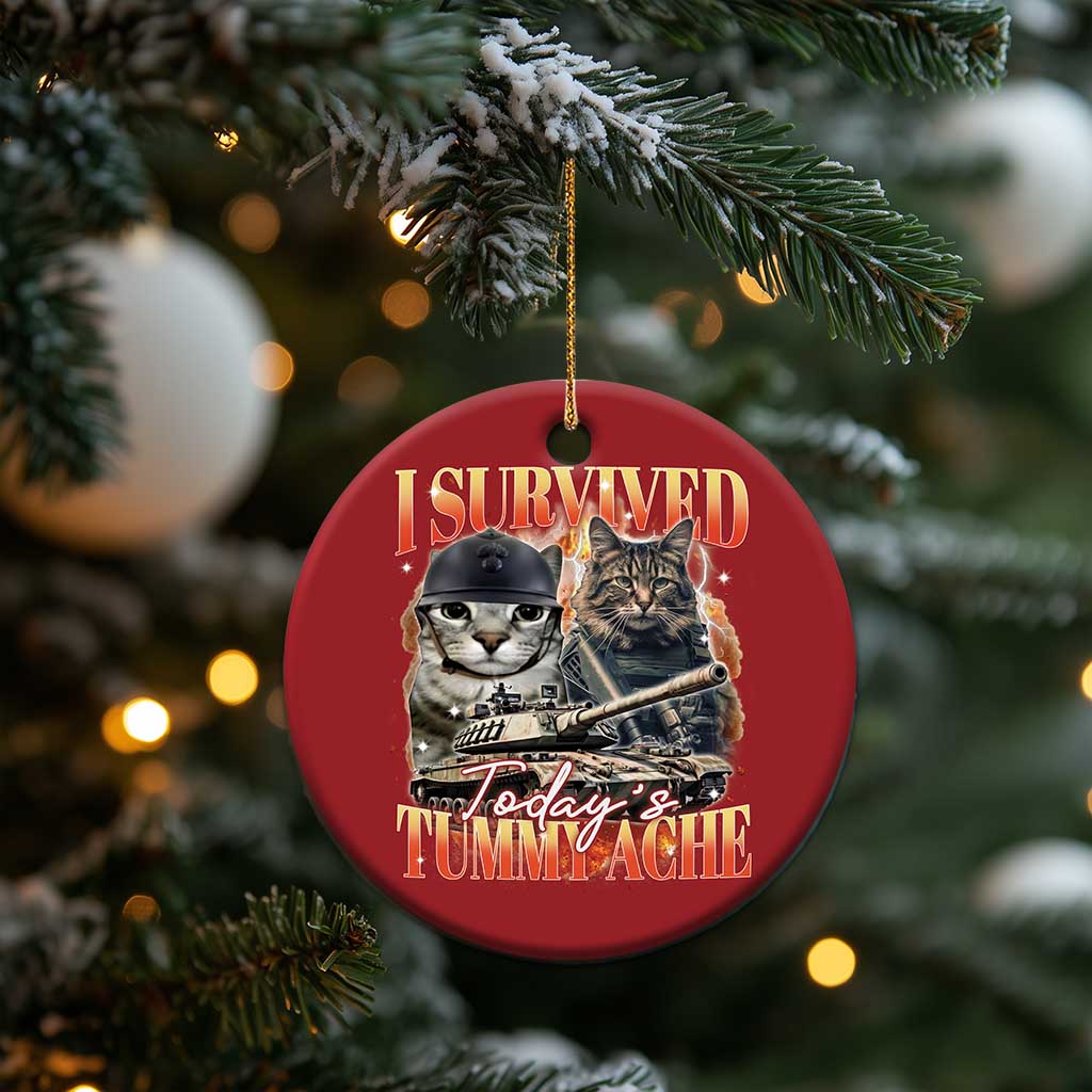 Tummy Ache Survivor Cat Meme Christmas Ornament Funny Saying Cats Bootleg - Wonder Print Shop