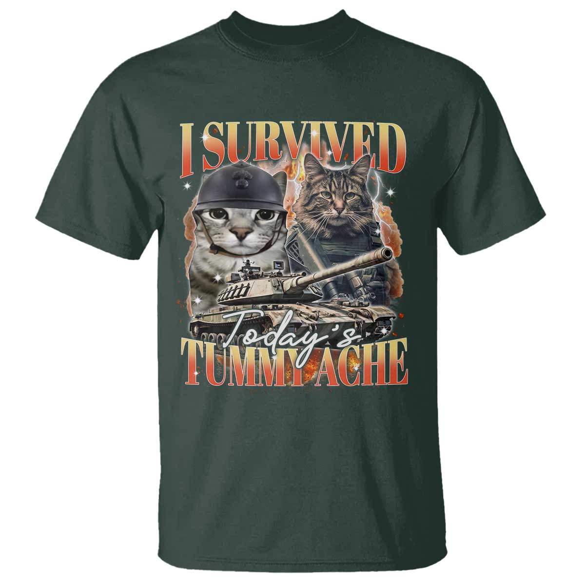 Tummy Ache Survivor Cat Meme T Shirt Funny Saying Cats Bootleg - Wonder Print Shop