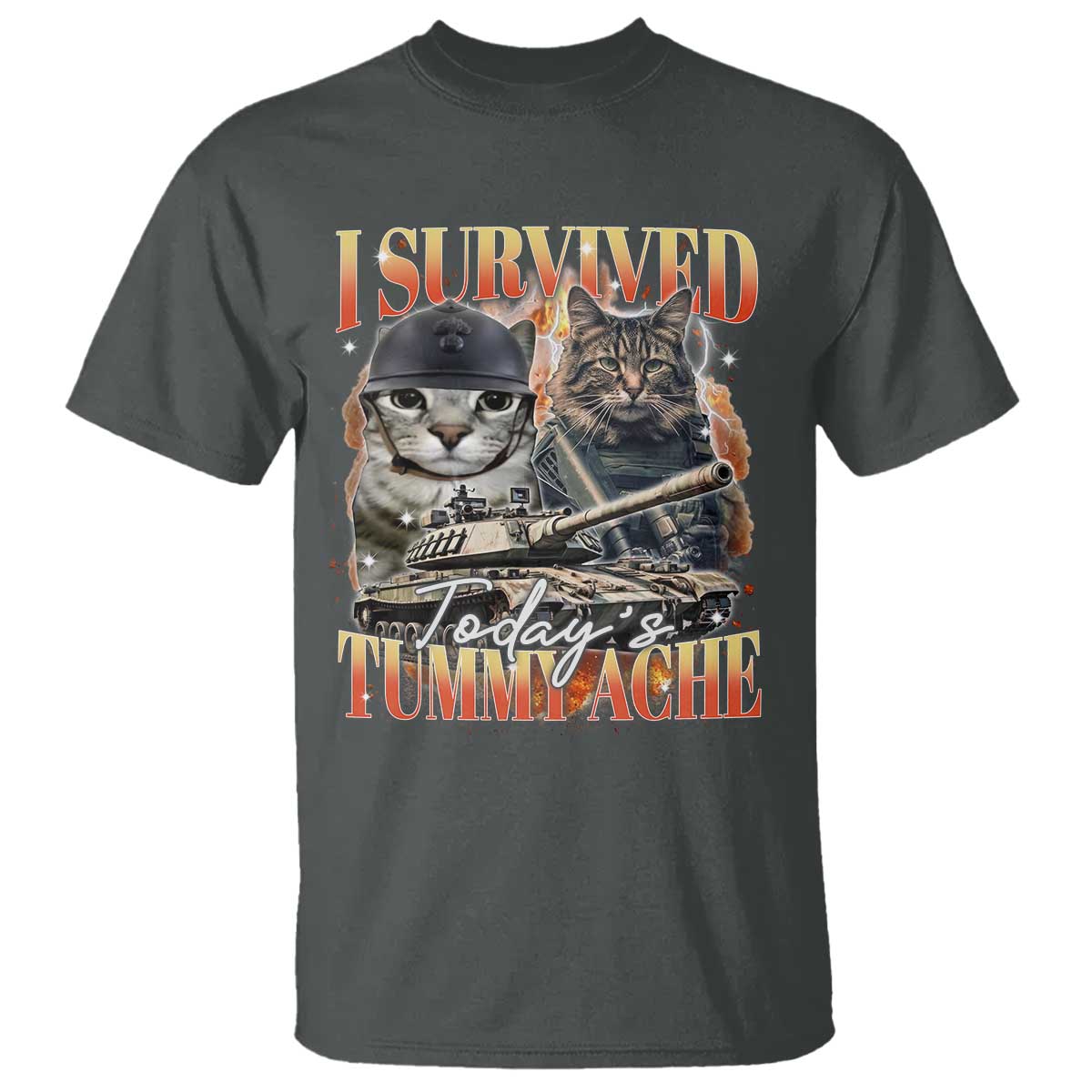Tummy Ache Survivor Cat Meme T Shirt Funny Saying Cats Bootleg - Wonder Print Shop