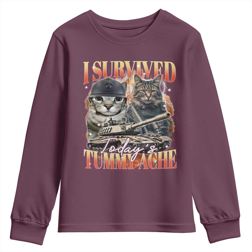 Tummy Ache Survivor Cat Meme Youth Sweatshirt Funny Saying Cats Bootleg - Wonder Print Shop