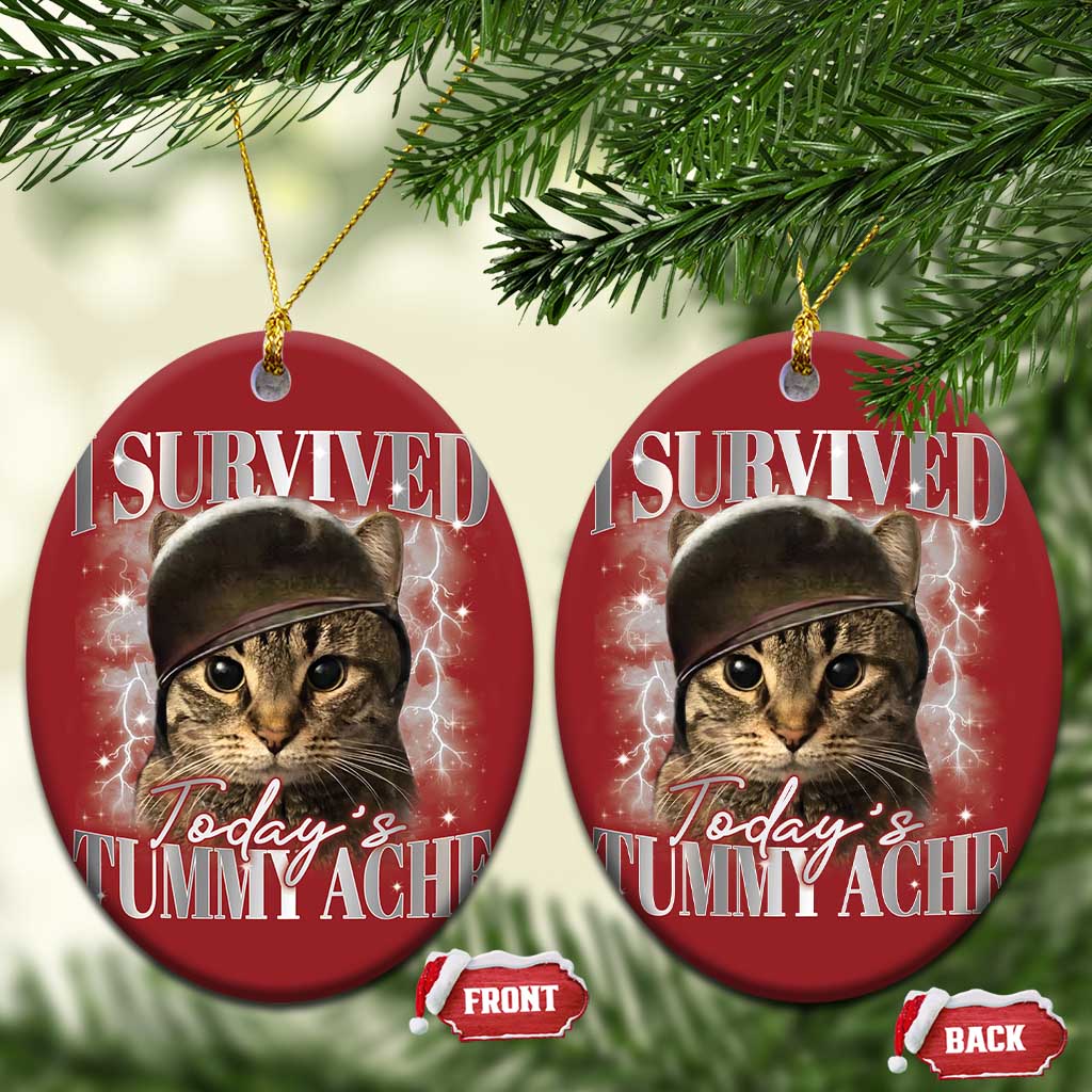 Tummy Ache Survivor Cat Meme Christmas Ornament Funny Saying Cats Cat Bootleg - Wonder Print Shop