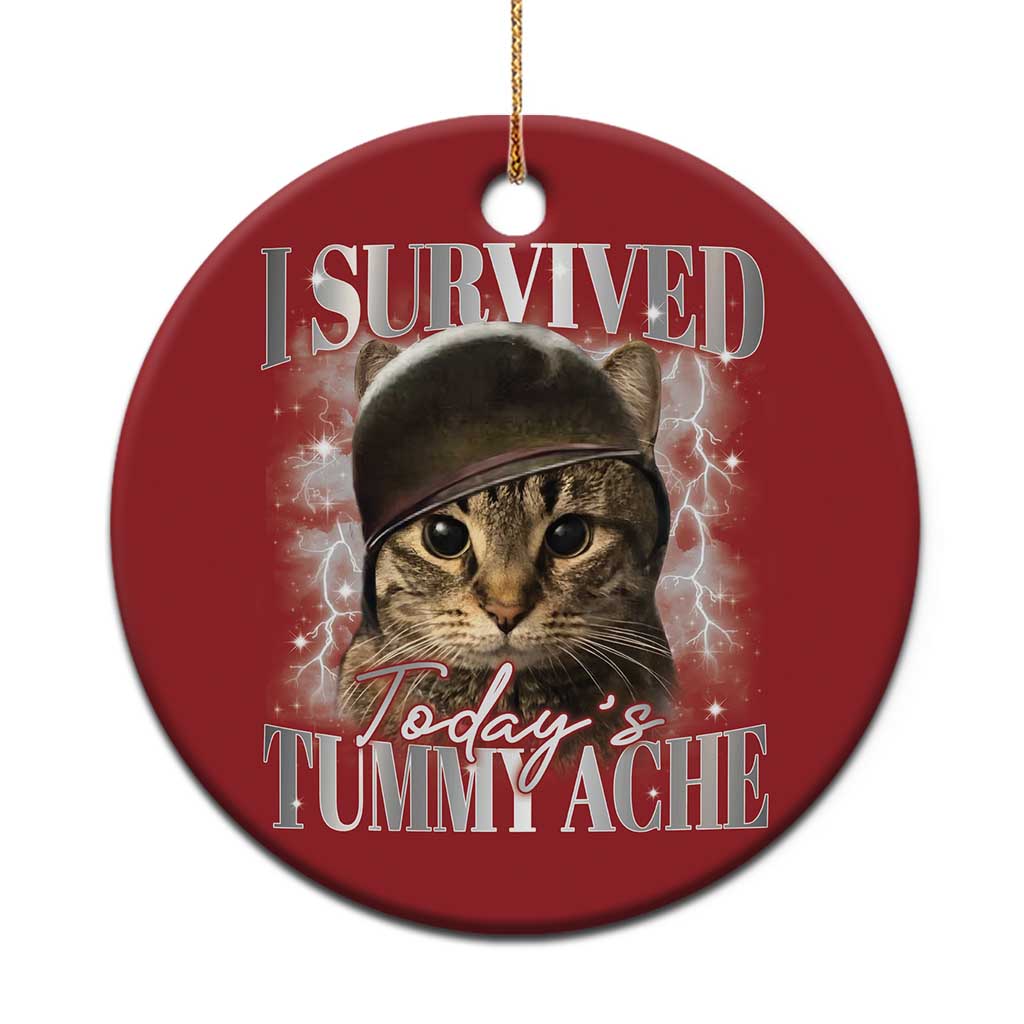 Tummy Ache Survivor Cat Meme Christmas Ornament Funny Saying Cats Cat Bootleg - Wonder Print Shop