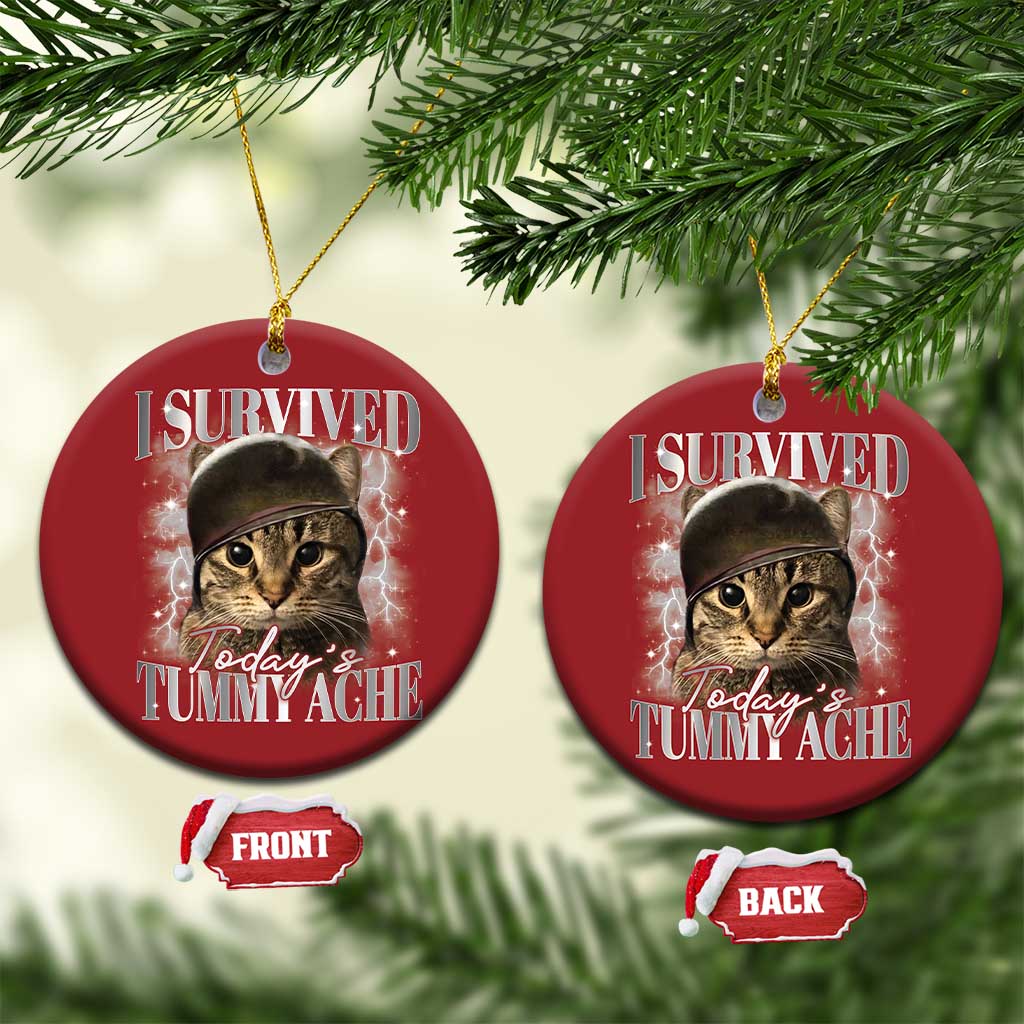 Tummy Ache Survivor Cat Meme Christmas Ornament Funny Saying Cats Cat Bootleg - Wonder Print Shop