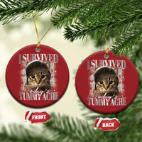 Tummy Ache Survivor Cat Meme Christmas Ornament Funny Saying Cats Cat Bootleg - Wonder Print Shop