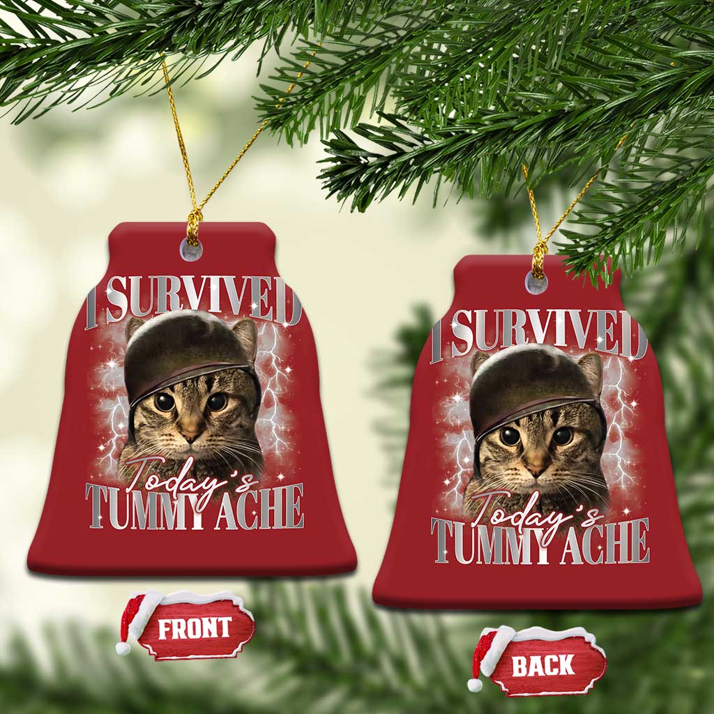 Tummy Ache Survivor Cat Meme Christmas Ornament Funny Saying Cats Cat Bootleg - Wonder Print Shop