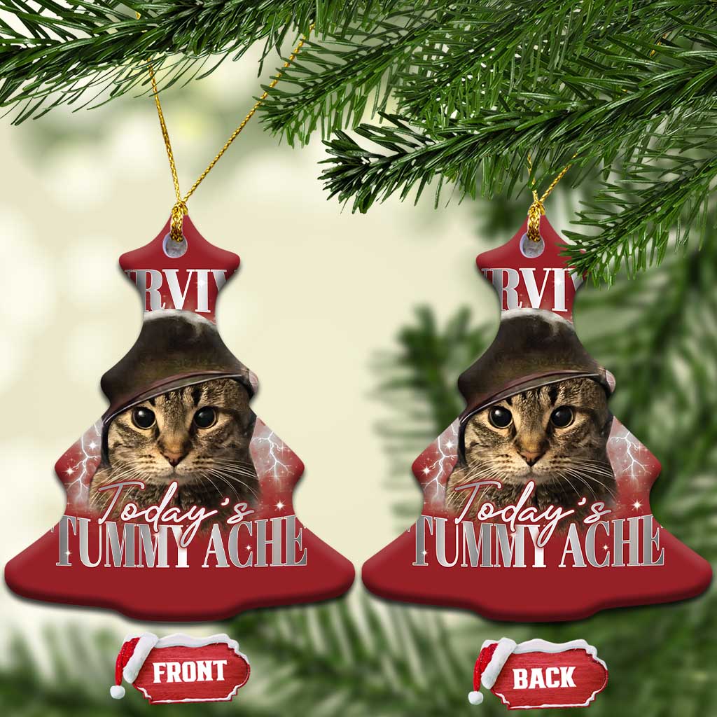 Tummy Ache Survivor Cat Meme Christmas Ornament Funny Saying Cats Cat Bootleg - Wonder Print Shop