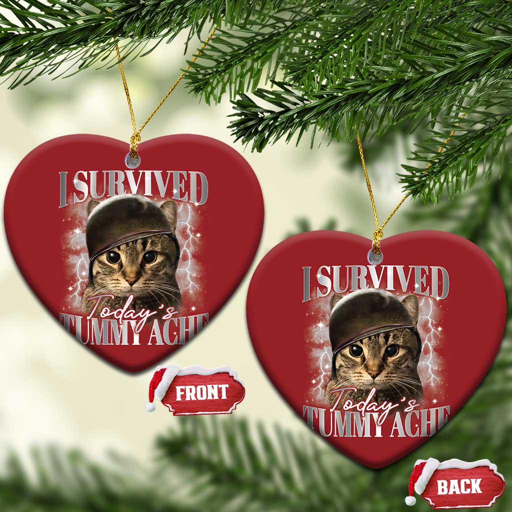 Tummy Ache Survivor Cat Meme Christmas Ornament Funny Saying Cats Cat Bootleg - Wonder Print Shop