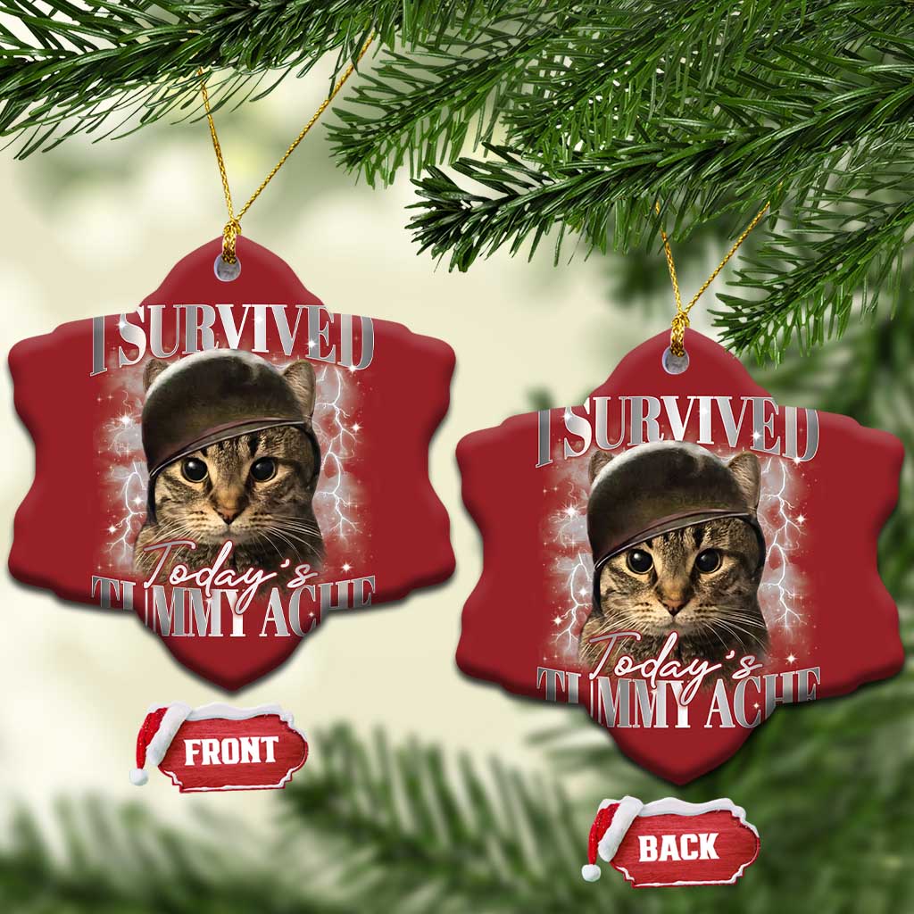 Tummy Ache Survivor Cat Meme Christmas Ornament Funny Saying Cats Cat Bootleg - Wonder Print Shop