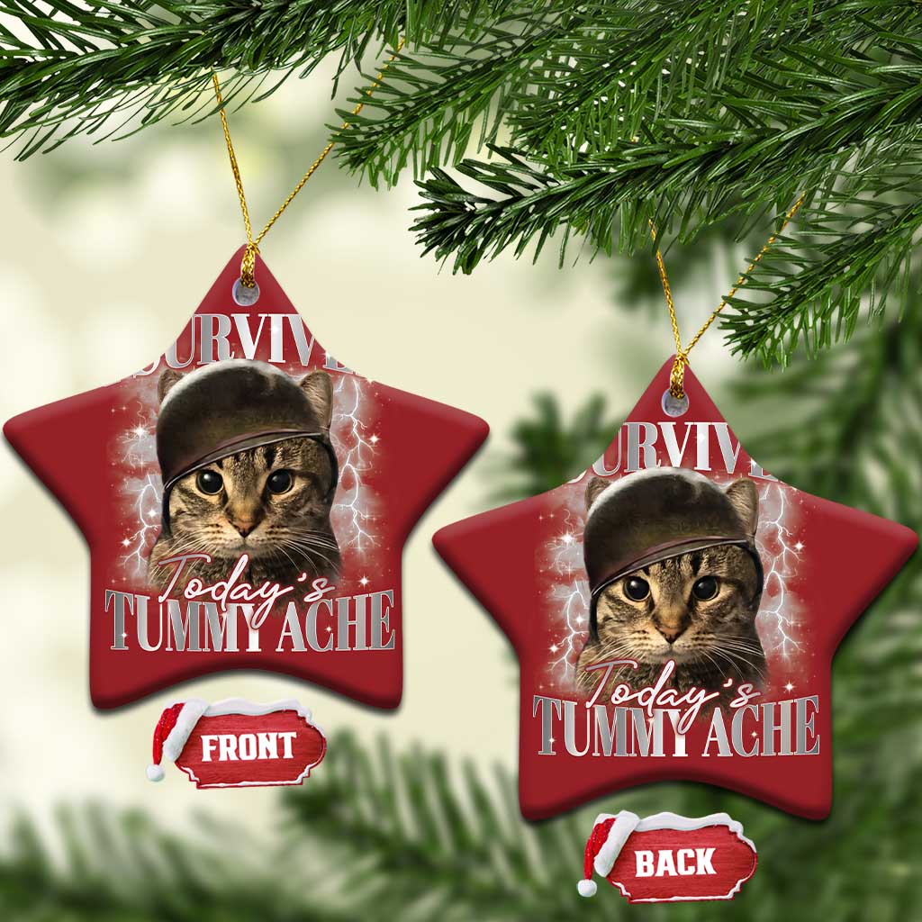 Tummy Ache Survivor Cat Meme Christmas Ornament Funny Saying Cats Cat Bootleg - Wonder Print Shop