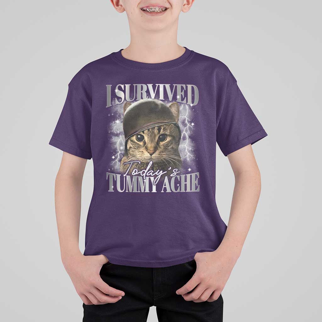 Tummy Ache Survivor Cat Meme T Shirt For Kid Funny Saying Cats Cat Bootleg - Wonder Print Shop