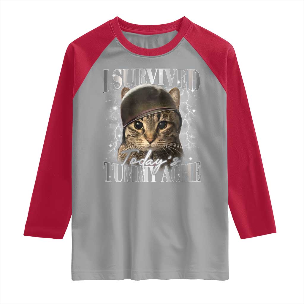 Tummy Ache Survivor Cat Meme Raglan Shirt Funny Saying Cats Cat Bootleg - Wonder Print Shop