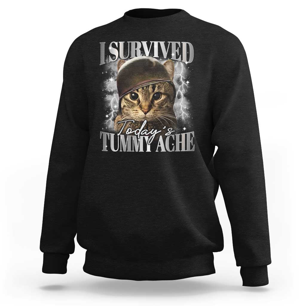 Tummy Ache Survivor Cat Meme Sweatshirt Funny Saying Cats Cat Bootleg - Wonder Print Shop