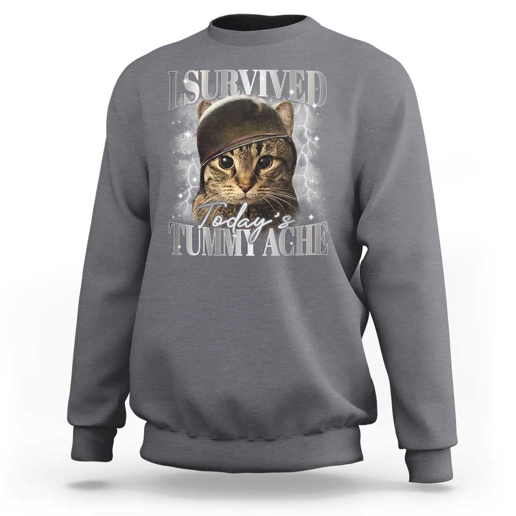 Tummy Ache Survivor Cat Meme Sweatshirt Funny Saying Cats Cat Bootleg - Wonder Print Shop
