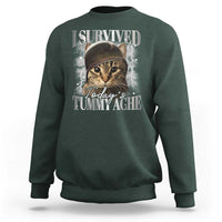 Tummy Ache Survivor Cat Meme Sweatshirt Funny Saying Cats Cat Bootleg - Wonder Print Shop