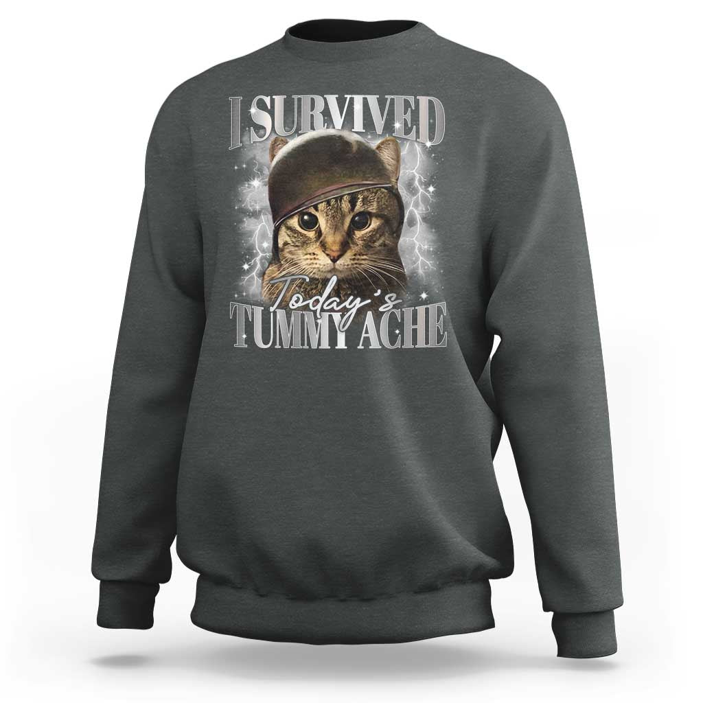 Tummy Ache Survivor Cat Meme Sweatshirt Funny Saying Cats Cat Bootleg - Wonder Print Shop