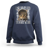 Tummy Ache Survivor Cat Meme Sweatshirt Funny Saying Cats Cat Bootleg - Wonder Print Shop