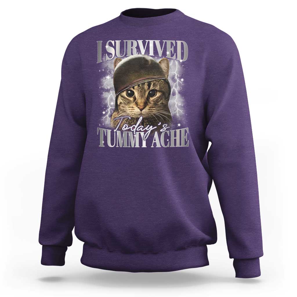 Tummy Ache Survivor Cat Meme Sweatshirt Funny Saying Cats Cat Bootleg - Wonder Print Shop