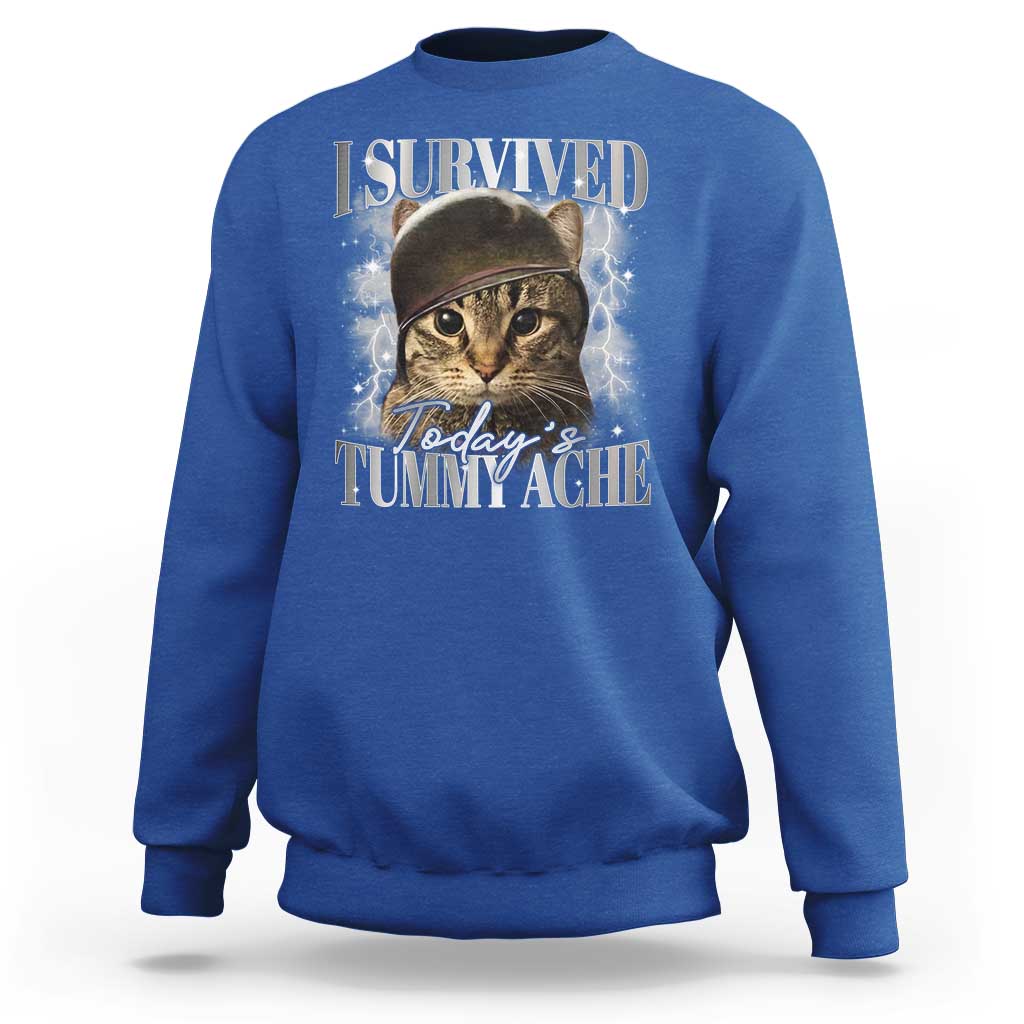Tummy Ache Survivor Cat Meme Sweatshirt Funny Saying Cats Cat Bootleg - Wonder Print Shop
