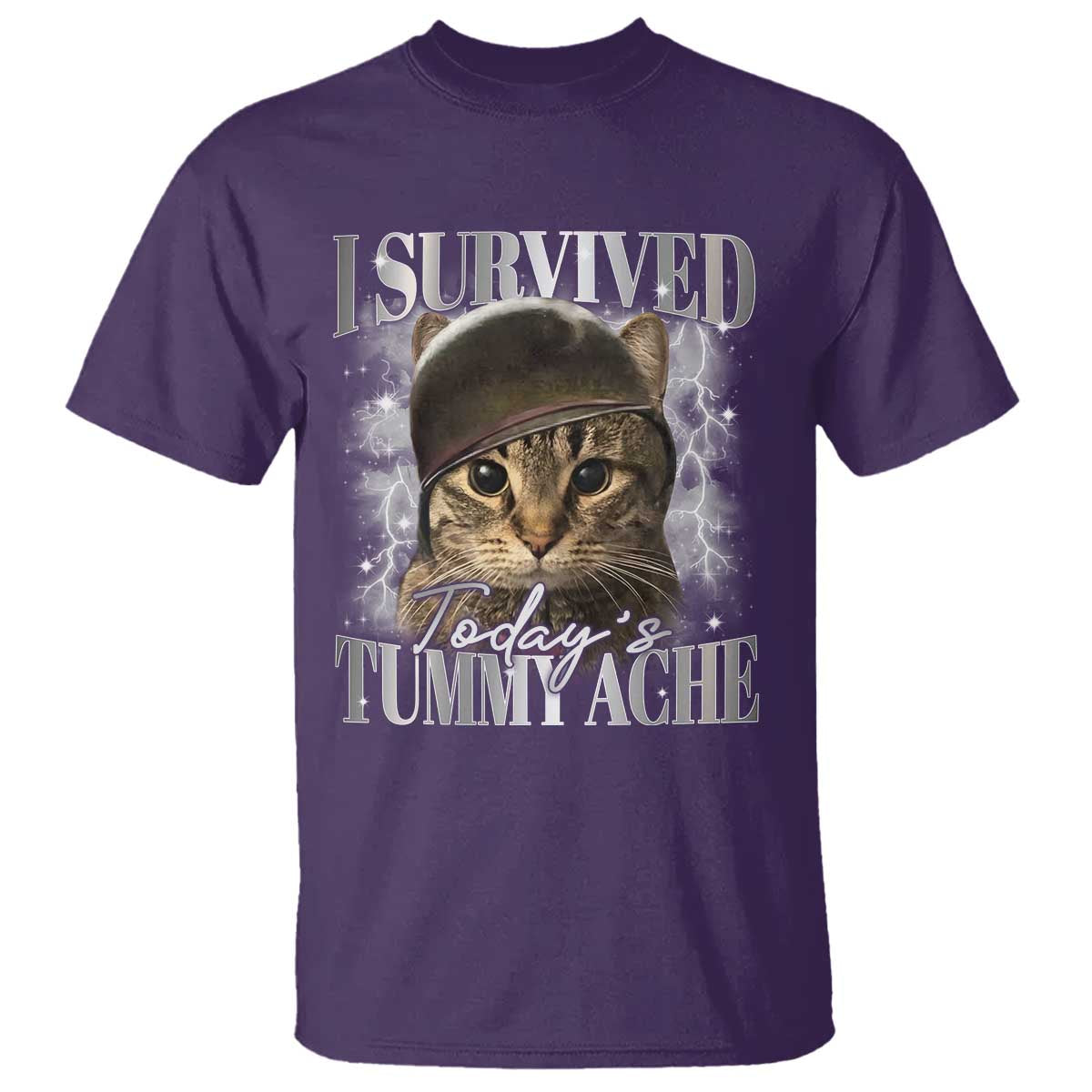 Tummy Ache Survivor Cat Meme T Shirt Funny Saying Cats Cat Bootleg - Wonder Print Shop
