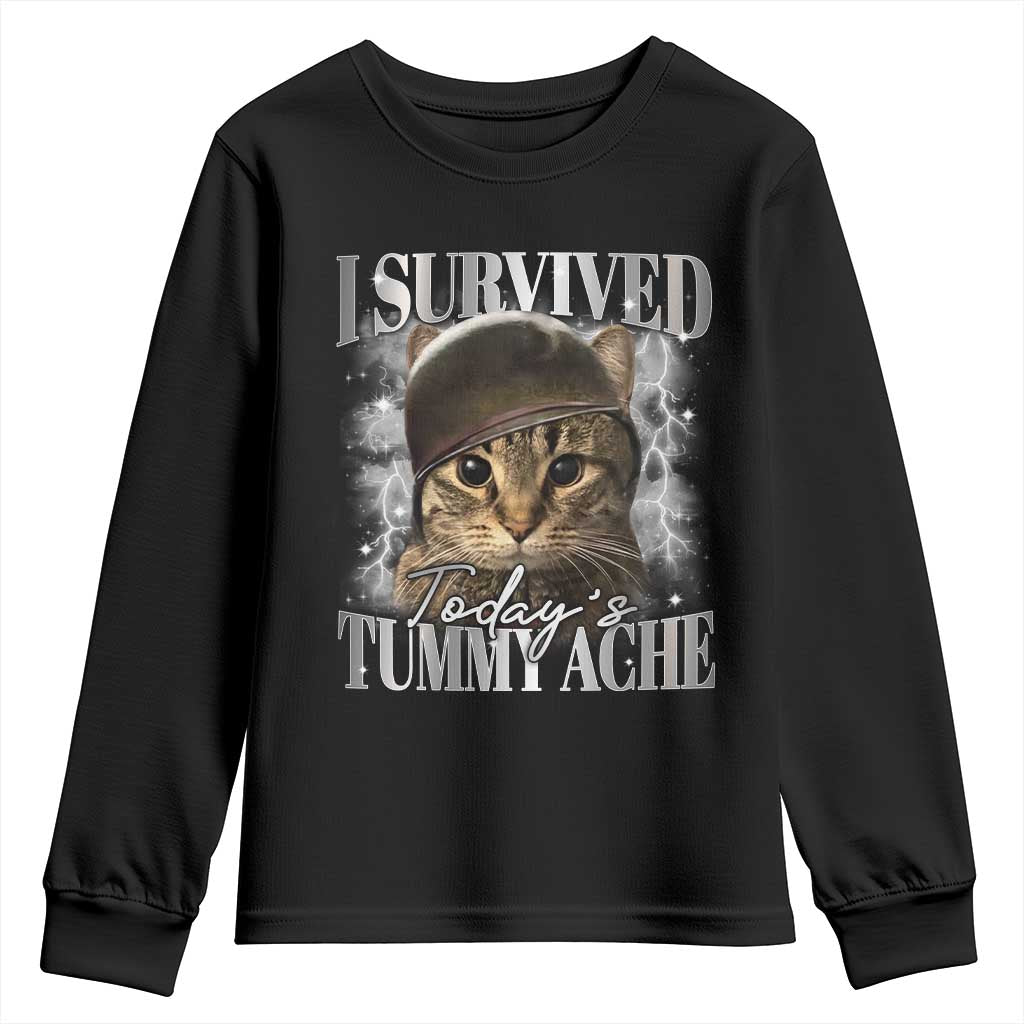 Tummy Ache Survivor Cat Meme Youth Sweatshirt Funny Saying Cats Cat Bootleg - Wonder Print Shop