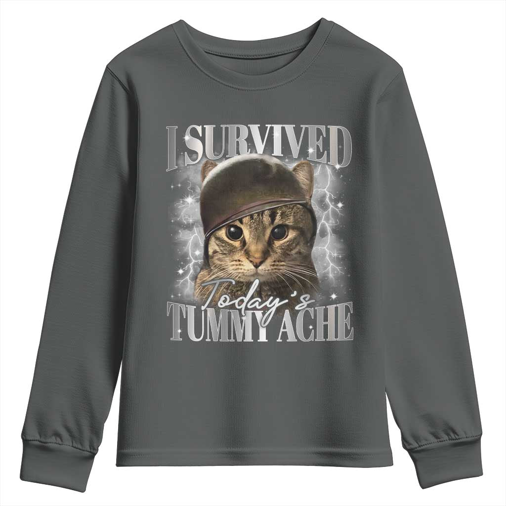 Tummy Ache Survivor Cat Meme Youth Sweatshirt Funny Saying Cats Cat Bootleg - Wonder Print Shop